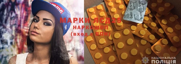 ПСИЛОЦИБИНОВЫЕ ГРИБЫ Абаза