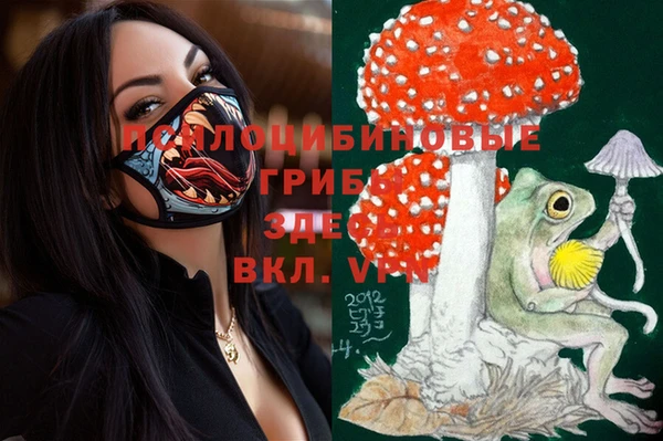 ПСИЛОЦИБИНОВЫЕ ГРИБЫ Абаза
