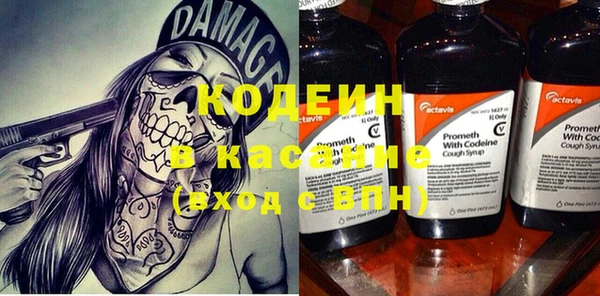 ПСИЛОЦИБИНОВЫЕ ГРИБЫ Абаза