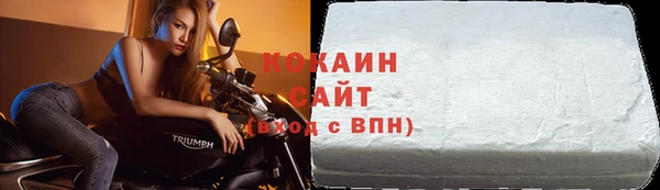 ПСИЛОЦИБИНОВЫЕ ГРИБЫ Абаза