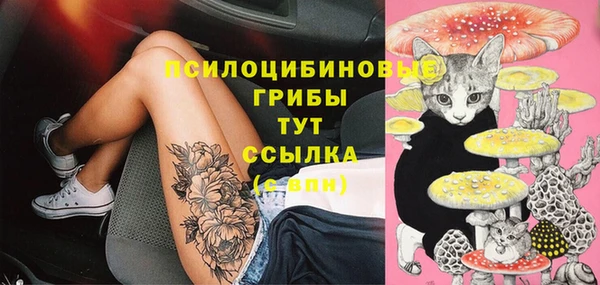 ПСИЛОЦИБИНОВЫЕ ГРИБЫ Абаза