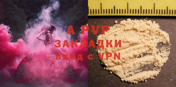 ПСИЛОЦИБИНОВЫЕ ГРИБЫ Абаза