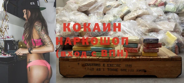 ПСИЛОЦИБИНОВЫЕ ГРИБЫ Абаза