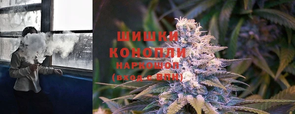 ПСИЛОЦИБИНОВЫЕ ГРИБЫ Абаза