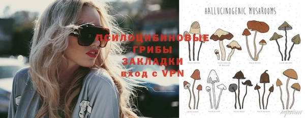 ПСИЛОЦИБИНОВЫЕ ГРИБЫ Абаза