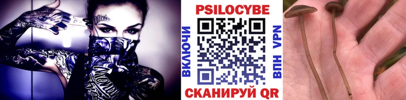 блэк спрут рабочий сайт  Алейск  Галлюциногенные грибы GOLDEN TEACHER 